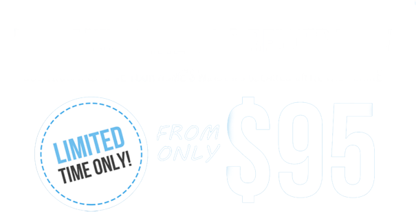 New-Window-Offer