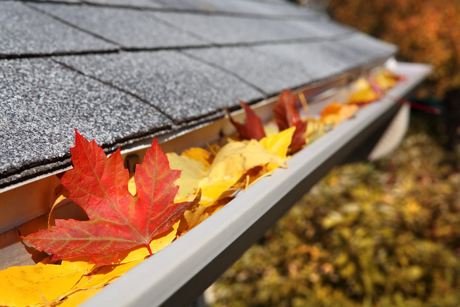 Why is it Important to Keep Your Gutters Clean?