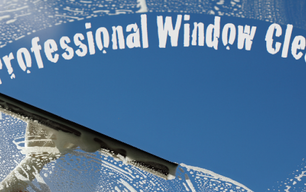 Professional-Window-Cleaning
