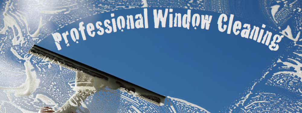 7 Reasons Why You Need Professional Window Cleaning